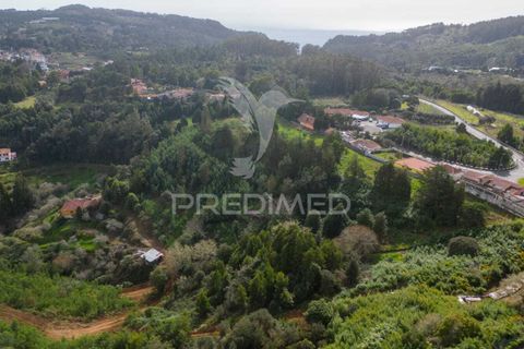 Helårsgrund i Machico, Madeira, Machico - € 430.000 | Ref: 048120 - foto 7