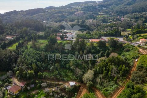 Helårsgrund i Machico, Madeira, Machico - € 430.000 | Ref: 048120 - foto 8