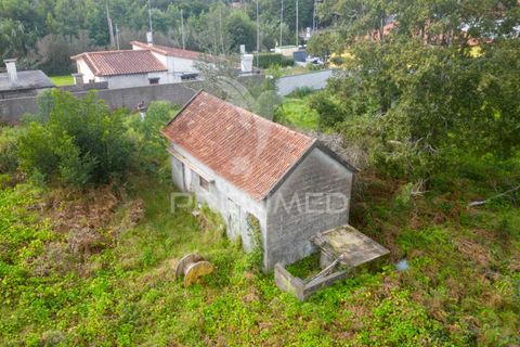 Helårsgrund i Machico, Madeira, Machico - € 430.000 | Ref: 048120 - foto 10