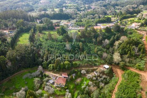 Helårsgrund i Machico, Madeira, Machico - € 430.000 | Ref: 048120 - foto 12