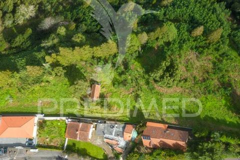 Helårsgrund i Machico, Madeira, Machico - € 430.000 | Ref: 048120 - foto 15