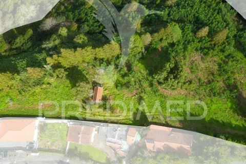Helårsgrund i Machico, Madeira, Machico - € 430.000 | Ref: 048120 - foto 17