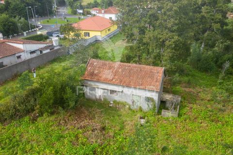 Helårsgrund i Machico, Madeira, Machico - € 430.000 | Ref: 048120 - foto 18
