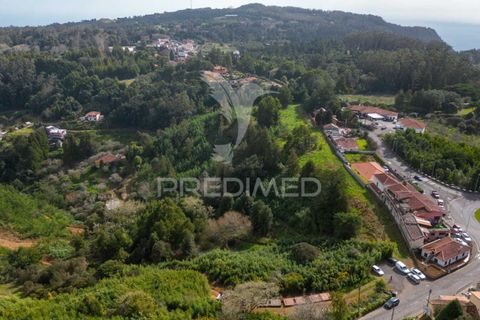 Helårsgrund i Machico, Madeira, Machico - € 430.000 | Ref: 048120 - foto 21