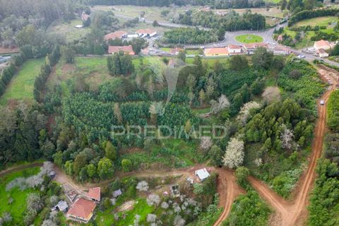 Helårsgrund i Machico, Madeira, Machico - € 430.000 | Ref: 048120 - foto 22