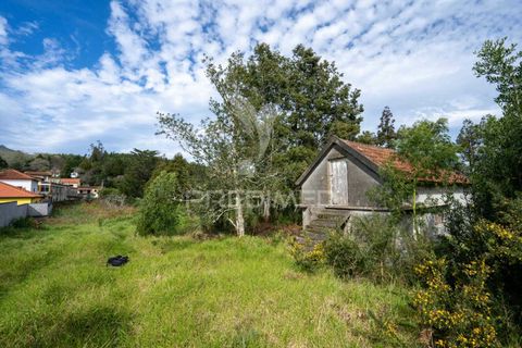 Helårsgrund i Machico, Madeira, Machico - € 430.000 | Ref: 048120 - foto 25