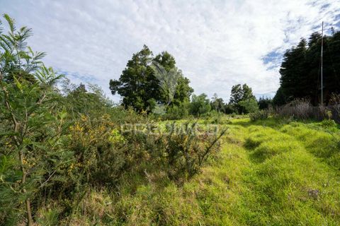 Helårsgrund i Machico, Madeira, Machico - € 430.000 | Ref: 048120 - foto 26