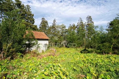 Helårsgrund i Machico, Madeira, Machico - € 430.000 | Ref: 048120 - foto 27