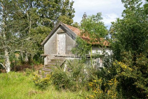 Helårsgrund i Machico, Madeira, Machico - € 430.000 | Ref: 048120 - foto 28