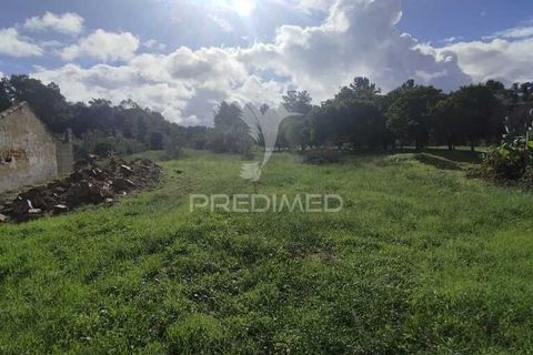 Tomt i Chamusca, Santarem, Chamusca - € 39 900 | Ref: 048182 - foto 2