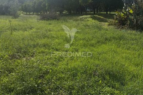 Tomt i Chamusca, Santarem, Chamusca - € 39 900 | Ref: 048182 - foto 3