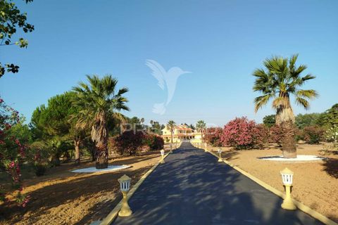 Farm hus i Azambuja, Lisbon, Azambuja - € 1.950.000 | Ref: 048294 - foto 11