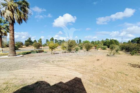 Farm hus i Azambuja, Lisbon, Azambuja - € 1.950.000 | Ref: 048294 - foto 39