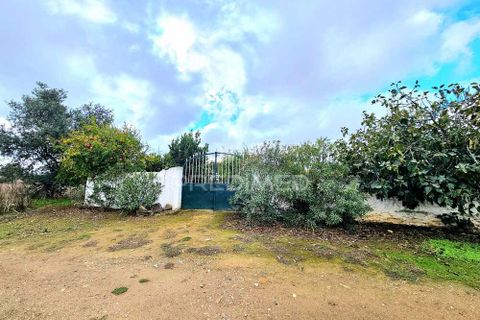 Terra a Castro Verde, Beja, Castro Verde - € 50.000 | Ref: 048325 - foto 3