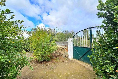 Terra a Castro Verde, Beja, Castro Verde - € 50.000 | Ref: 048325 - foto 4
