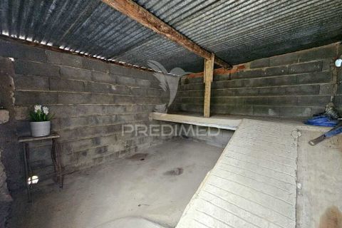Terra a Castro Verde, Beja, Castro Verde - € 50.000 | Ref: 048325 - foto 8