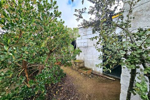Terra a Castro Verde, Beja, Castro Verde - € 50.000 | Ref: 048325 - foto 9