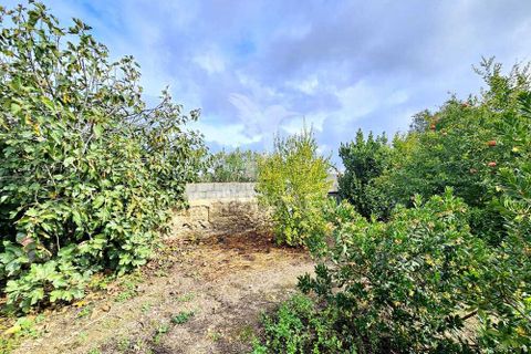 Terra a Castro Verde, Beja, Castro Verde - € 50.000 | Ref: 048325 - foto 11