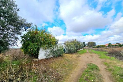 Terra a Castro Verde, Beja, Castro Verde - € 50.000 | Ref: 048325 - foto 12