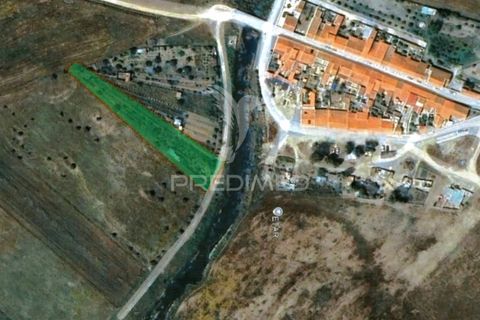Terra a Castro Verde, Beja, Castro Verde - € 50.000 | Ref: 048325 - foto 16