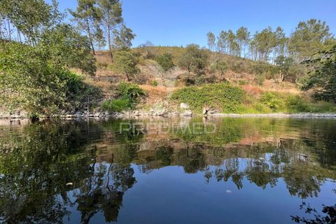 Helårsgrund i Proenca-a-Nova, Castelo Branco, Proenca-a-Nova - € 59.000 | Ref: 048471 - foto 2