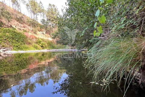 Helårsgrund i Proenca-a-Nova, Castelo Branco, Proenca-a-Nova - € 59.000 | Ref: 048471 - foto 24