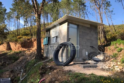 Helårsgrund i Proenca-a-Nova, Castelo Branco, Proenca-a-Nova - € 59.000 | Ref: 048471 - foto 28
