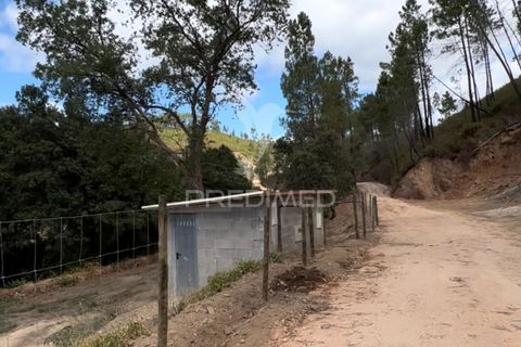 Helårsgrund i Proenca-a-Nova, Castelo Branco, Proenca-a-Nova - € 59.000 | Ref: 048471 - foto 30
