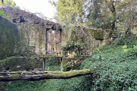 Ruinere i Vila Verde, Braga, Vila Verde - € 100.000 | Ref: 048669 - foto 5