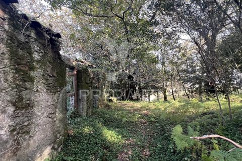 Ruinere i Vila Verde, Braga, Vila Verde - € 100.000 | Ref: 048669 - foto 8