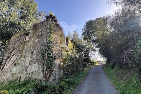 Ruinere i Vila Verde, Braga, Vila Verde - € 100.000 | Ref: 048669 - foto 10