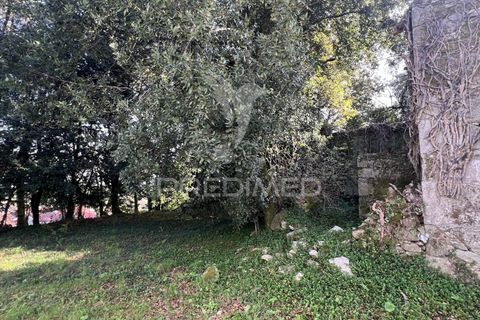 Ruinere i Vila Verde, Braga, Vila Verde - € 100.000 | Ref: 048669 - foto 12