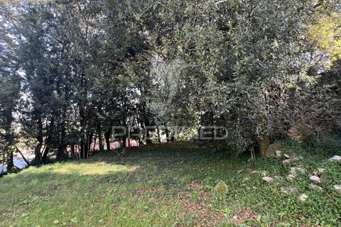 Ruinere i Vila Verde, Braga, Vila Verde - € 100.000 | Ref: 048669 - foto 13