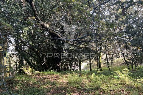 Ruinere i Vila Verde, Braga, Vila Verde - € 100.000 | Ref: 048669 - foto 15