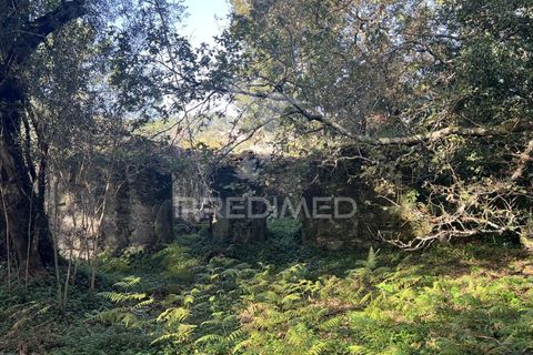 Ruinere i Vila Verde, Braga, Vila Verde - € 100.000 | Ref: 048669 - foto 16