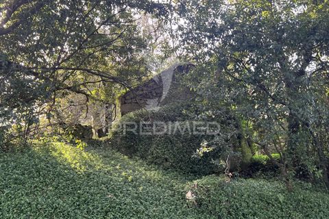 Ruinere i Vila Verde, Braga, Vila Verde - € 100.000 | Ref: 048669 - foto 17