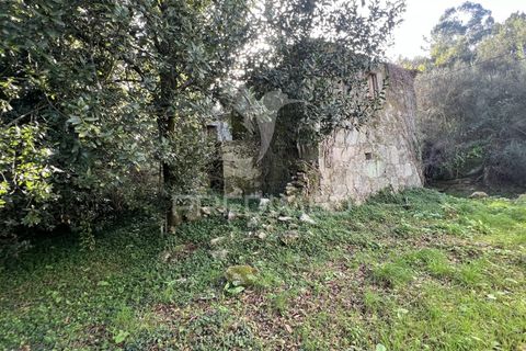 Ruinere i Vila Verde, Braga, Vila Verde - € 100.000 | Ref: 048669 - foto 18