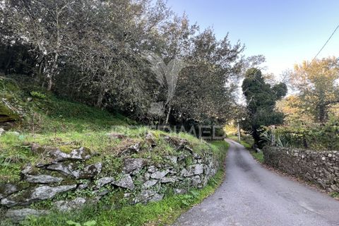 Ruinere i Vila Verde, Braga, Vila Verde - € 100.000 | Ref: 048669 - foto 20