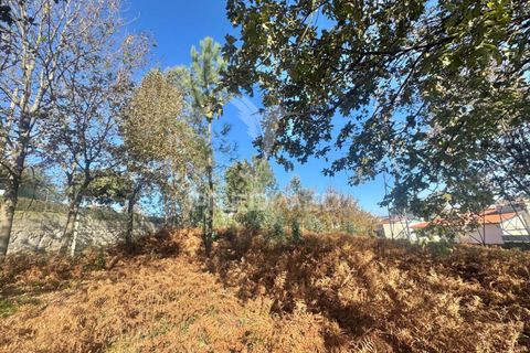 Helårsgrund i Guimaraes, Braga, Guimaraes - € 88.500 | Ref: 049269 - foto 12