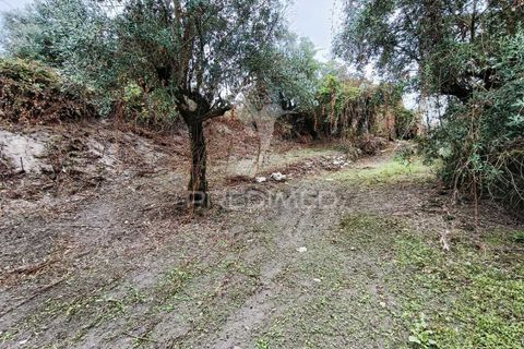 Byhus i Ourem, Santarem, Ourem - € 60.000 | Ref: 049808 - foto 17