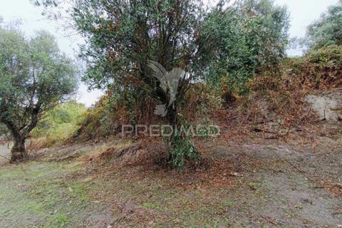 Byhus i Ourem, Santarem, Ourem - € 60.000 | Ref: 049808 - foto 18