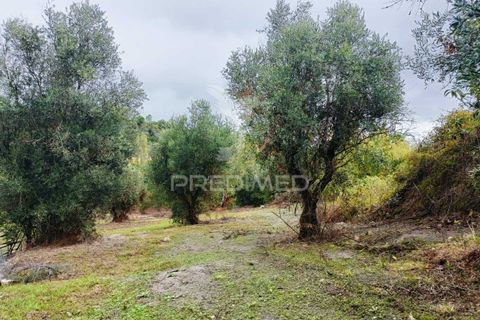 Byhus i Ourem, Santarem, Ourem - € 60.000 | Ref: 049808 - foto 19