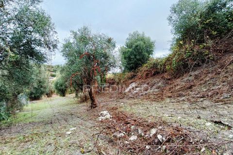 Byhus i Ourem, Santarem, Ourem - € 60.000 | Ref: 049808 - foto 20