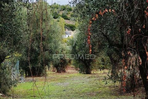 Byhus i Ourem, Santarem, Ourem - € 60.000 | Ref: 049808 - foto 22