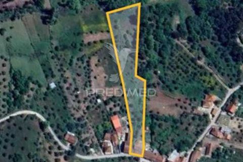 Byhus i Ourem, Santarem, Ourem - € 60.000 | Ref: 049808 - foto 23