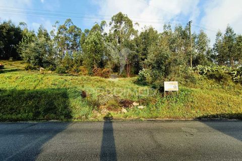 Helårsgrund i Ourem, Santarem, Ourem - € 25.000 | Ref: 049853 - foto 2