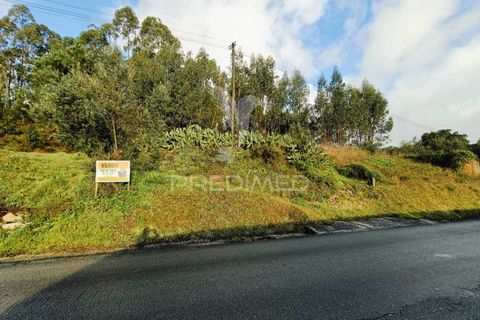 Helårsgrund i Ourem, Santarem, Ourem - € 25.000 | Ref: 049853 - foto 4