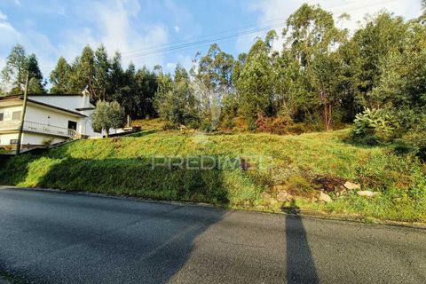 Helårsgrund i Ourem, Santarem, Ourem - € 25.000 | Ref: 049853 - foto 5
