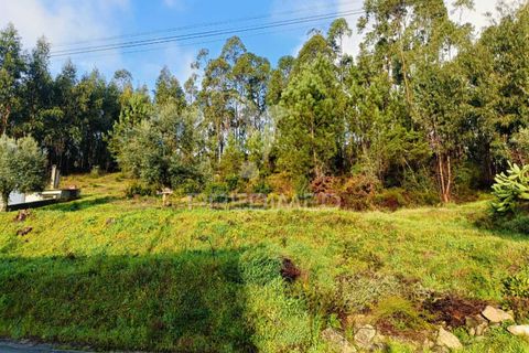 Helårsgrund i Ourem, Santarem, Ourem - € 25.000 | Ref: 049853 - foto 7