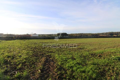 Helårsgrund i Vila do Conde, Porto, Vila do Conde - € 235.000 | Ref: 049901 - foto 10